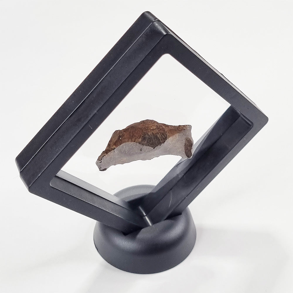 Gebel Kamil Meteorite (Egypt < 5000 Years Old) 61g