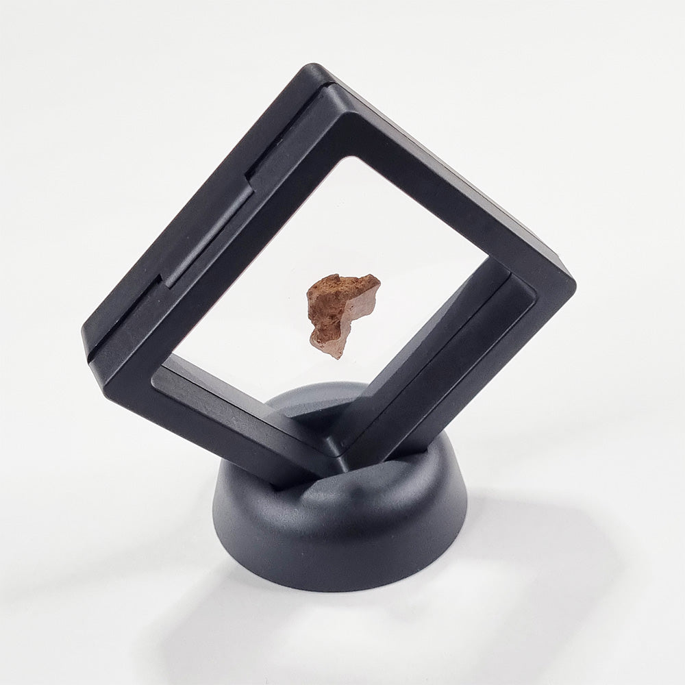 Rare Lunar Meteorite 2g