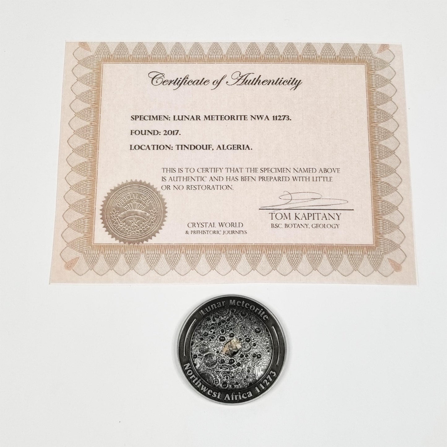 Lunar Meteorite Coin 0124