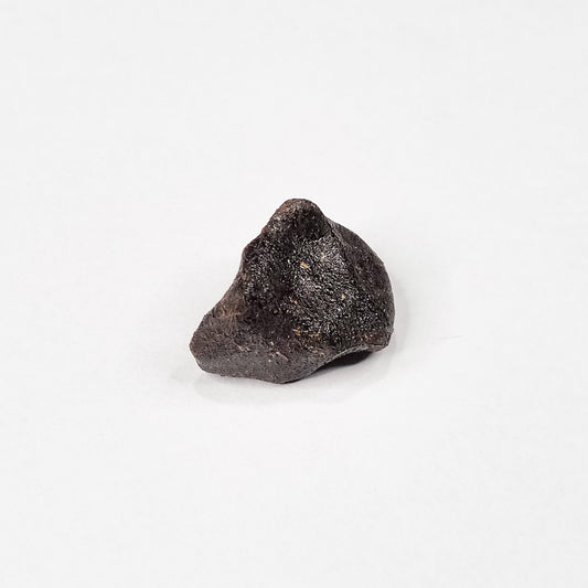 Camel Donga Meteorite (Nullarbor Plain- Western Australia- 1980) 4g