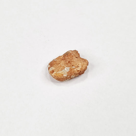 *Rare* Lunar Meteorite 1.5cm