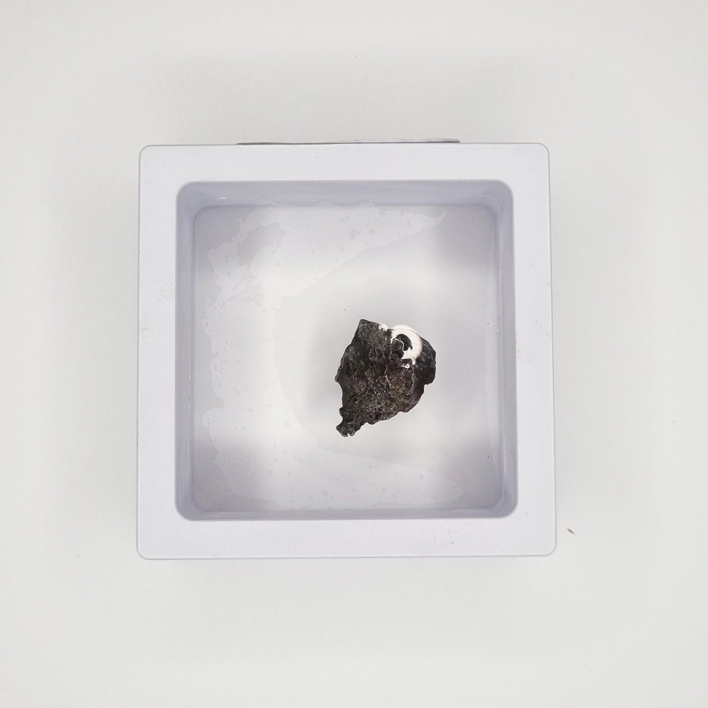 Sikhote-Alin Meteorite (Siberia-1947) 5g