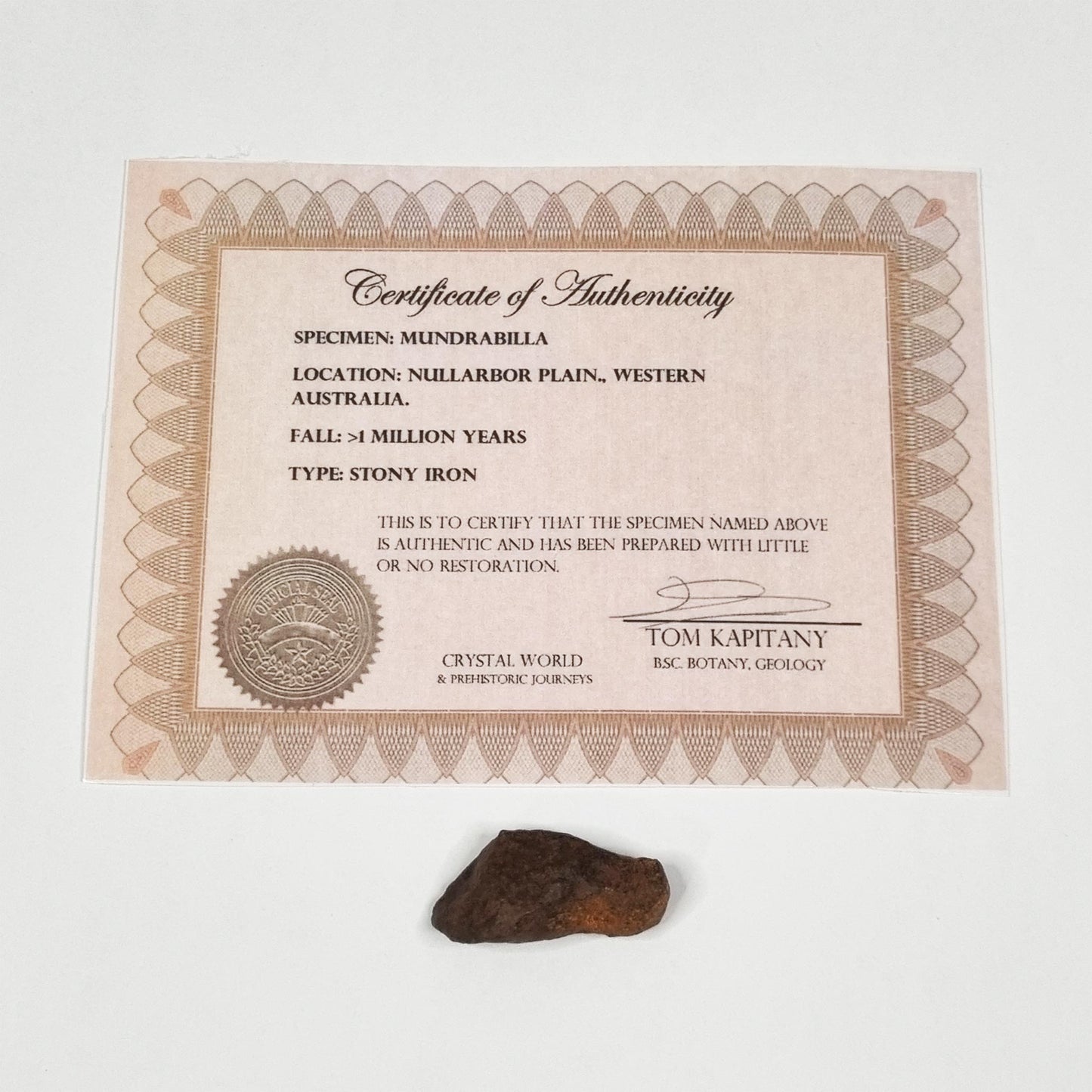 Mundrabilla Meteorite (Western Australia-1911) 23g