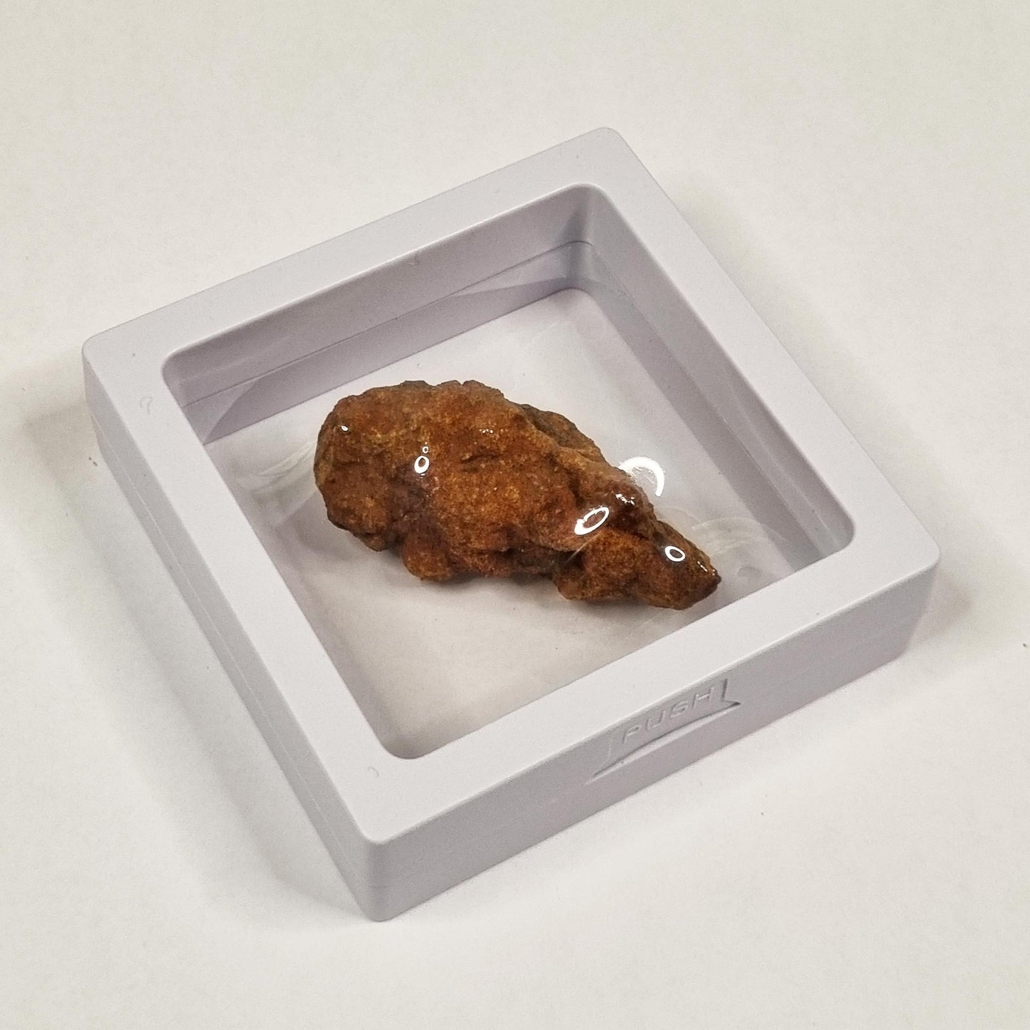 Wolf Creek Shale Ball Meteorite (Western Australia-1947) 23g