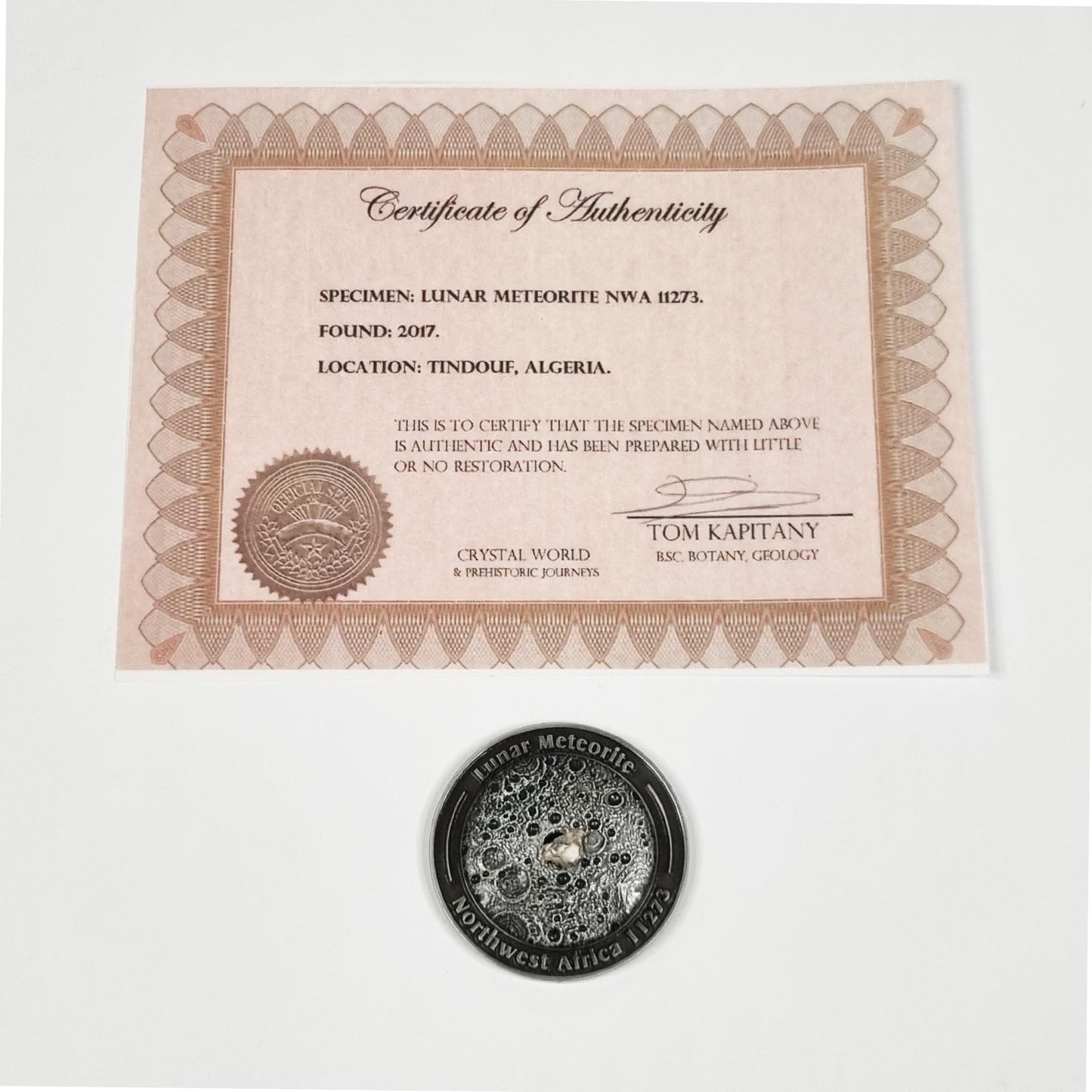 Lunar Meteorite Coin 0178