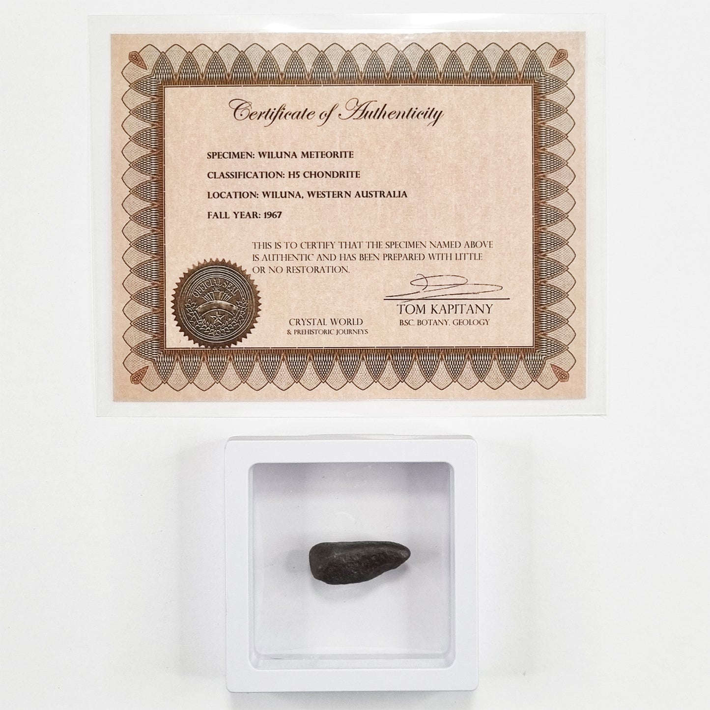 Wiluna Meteorite (Western Australia- 1967) 4g