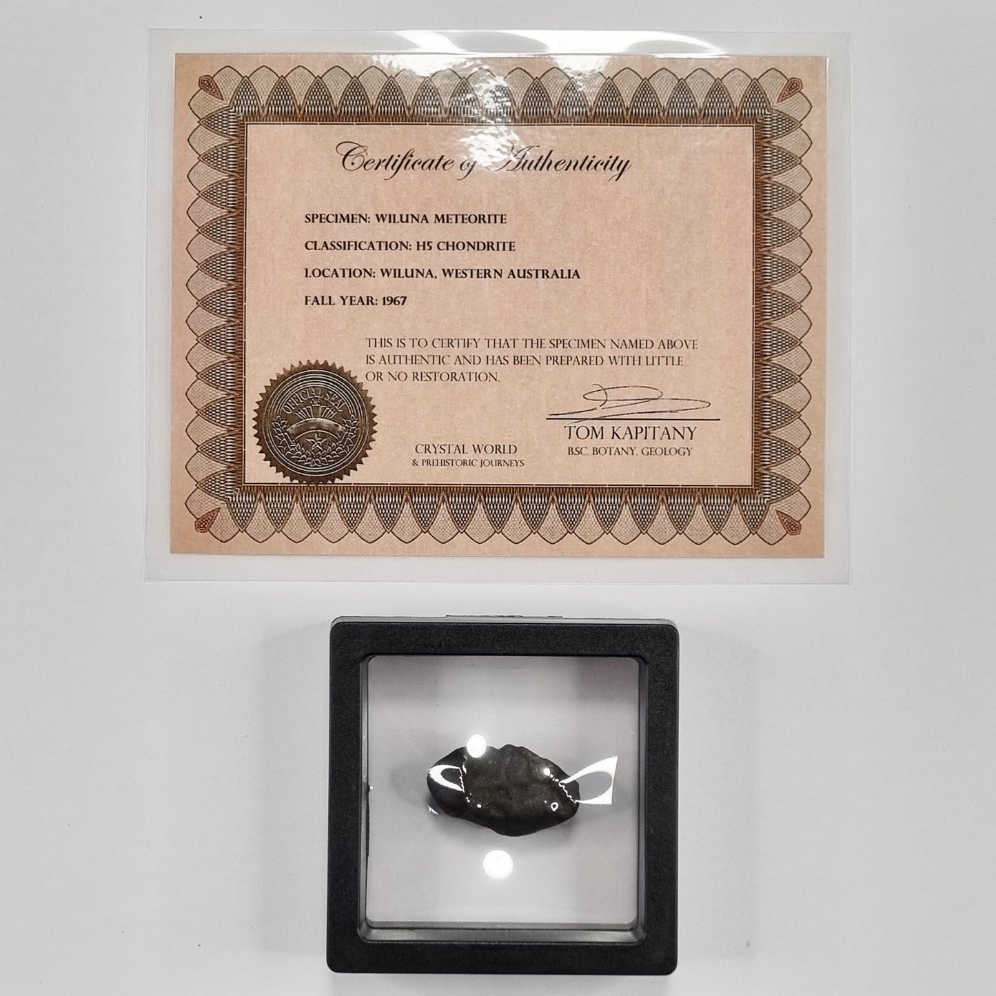 Wiluna Meteorite (Western Australia- 1967) 12g