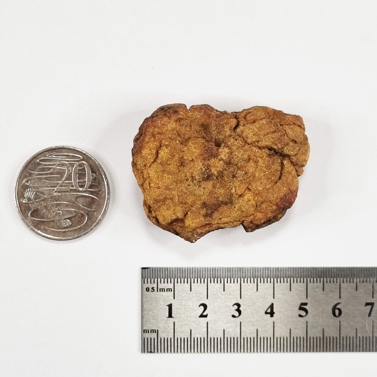 Wolf Creek Shale Ball Meteorite (Western Australia-1947) 66g