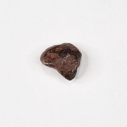 Mundrabilla Meteorite (Western Australia-1911) 14g