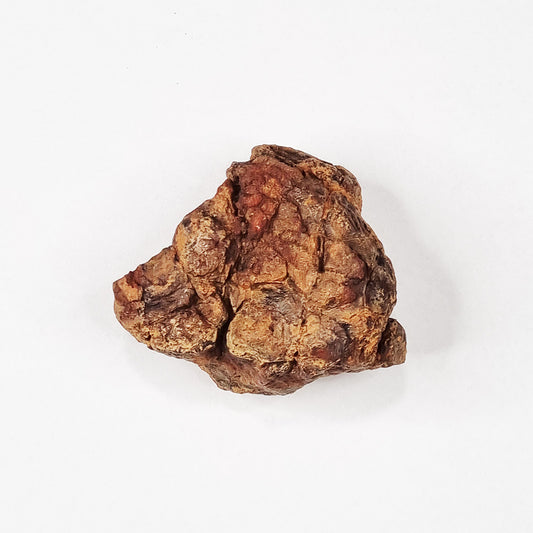 Wolfe Creek Shale Ball Meteorite (Western Australia-1947) 95g