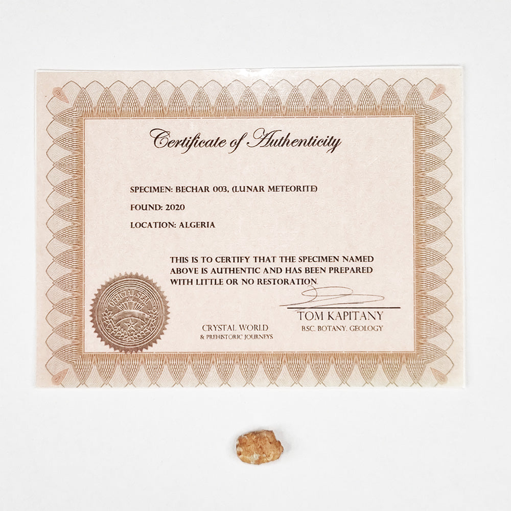 *Rare* Lunar Meteorite 1.5cm