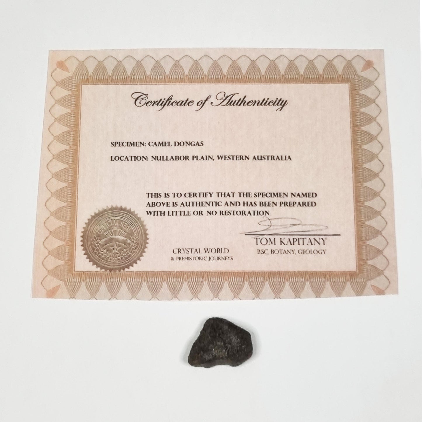 Camel Donga Meteorite (Nullarbor Plain- Western Australia- 1980) 4g