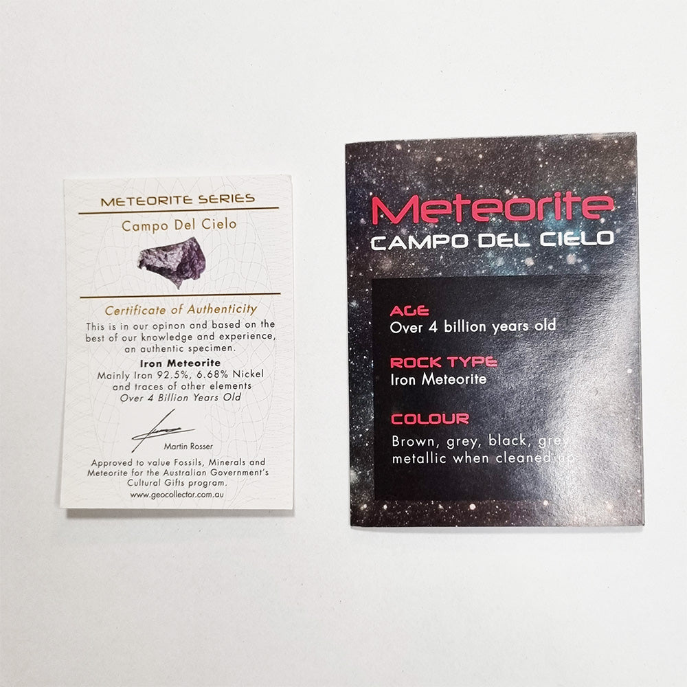 Campo Del Cielo Meteorite (Argentina- 4,500 Years Old)