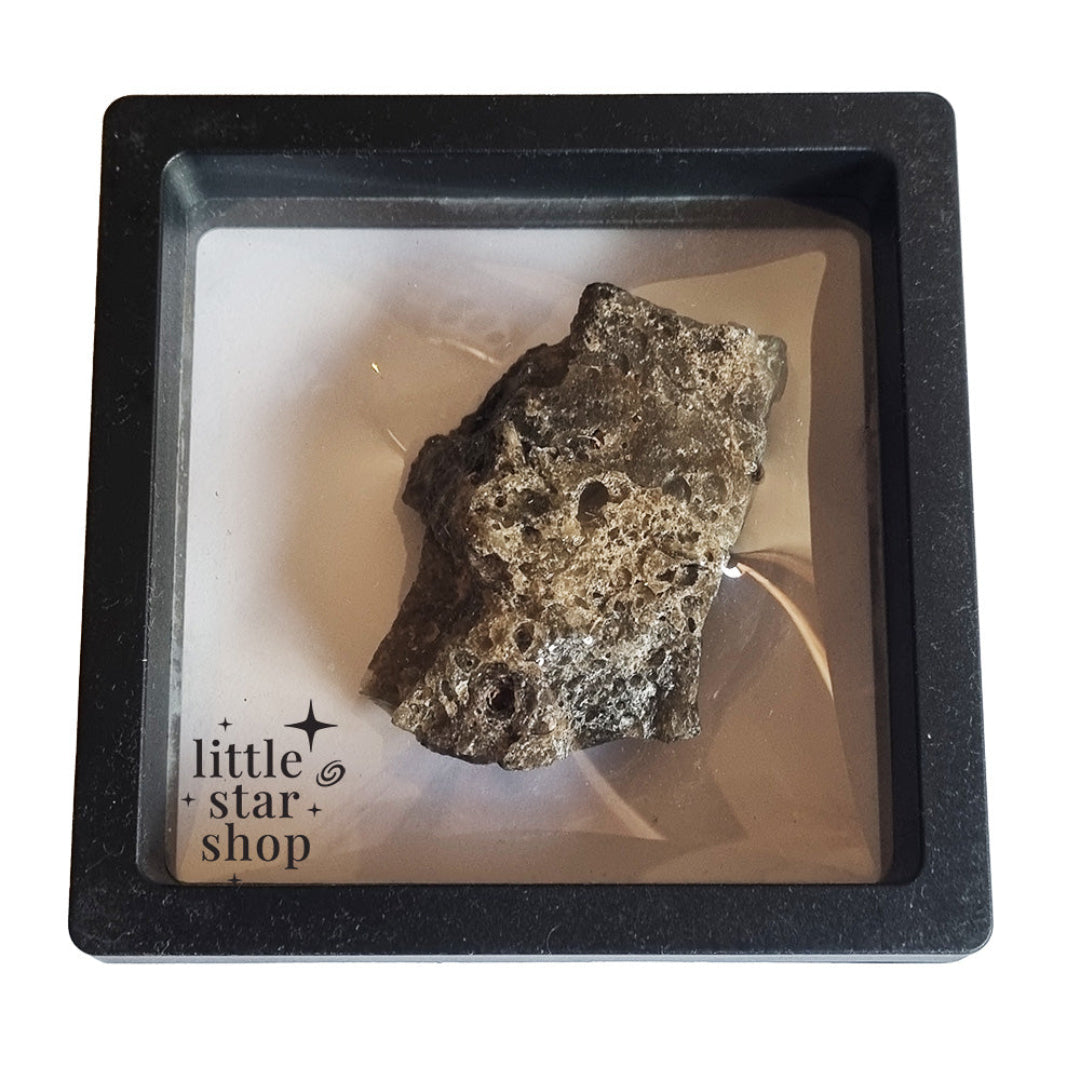 Mineral specimen in a black display box with 'little star shop' branding.
