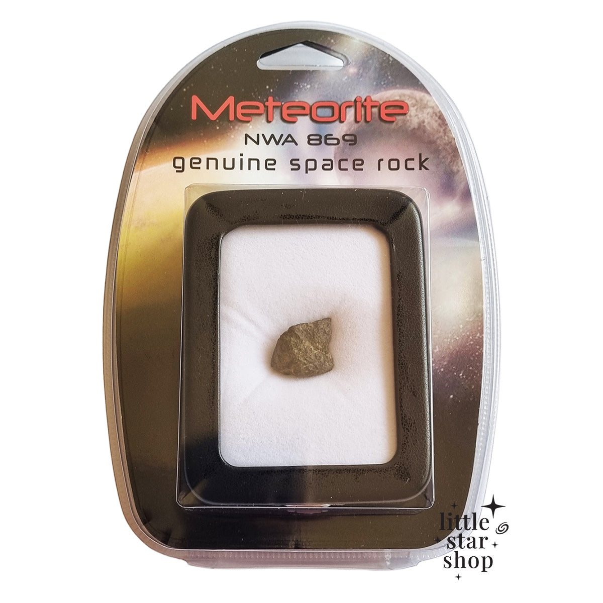 Meteorite NWA 869 in packaging with 'little star shop' branding