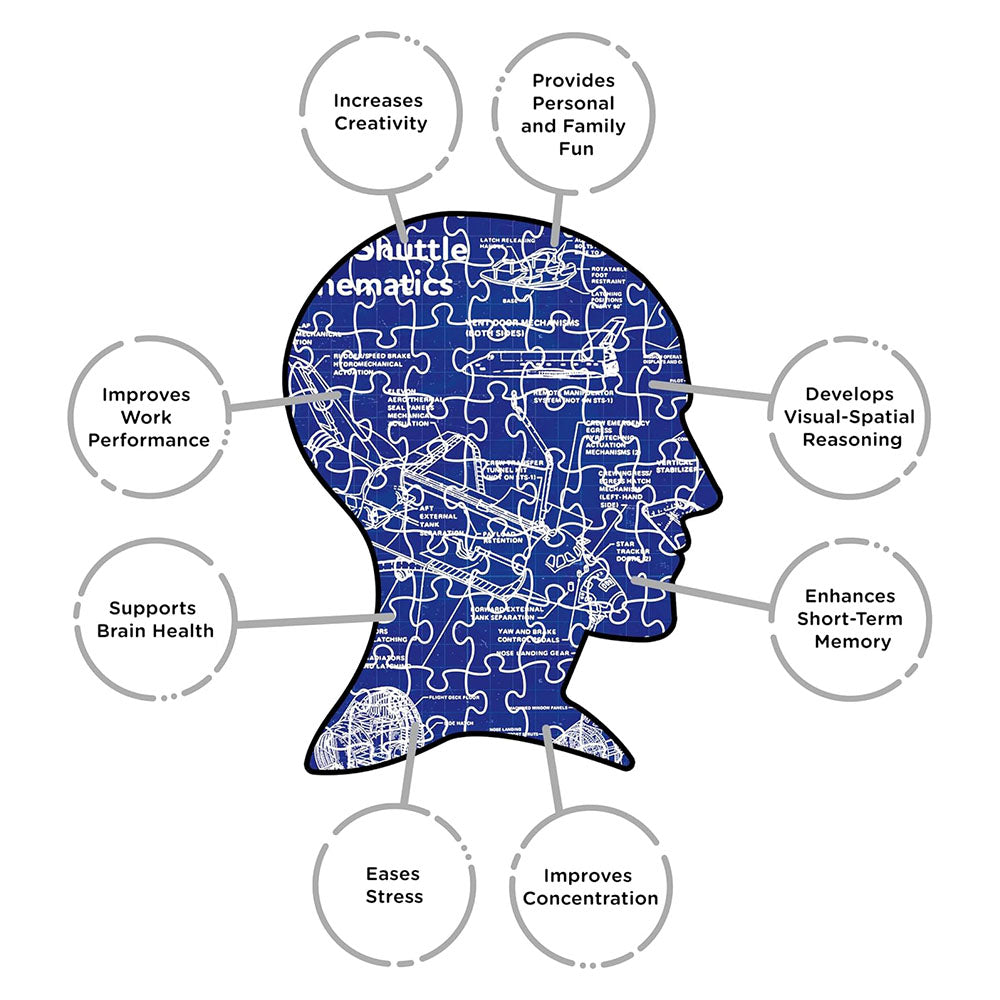 Silhouette of a head with mathematical equations and puzzle pieces, surrounded by benefits of mathematics on a white background.