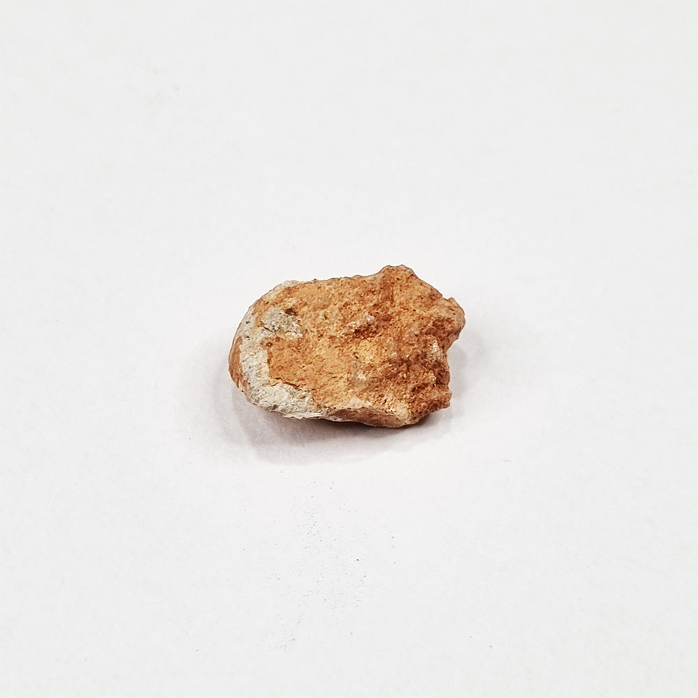 *Rare* Lunar Meteorite 1.5cm