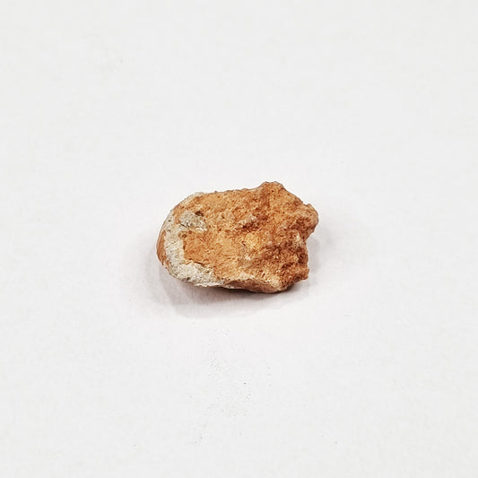 *Rare* Lunar Meteorite 1.5cm