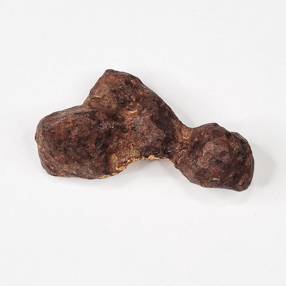 Mundrabilla Meteorite (Western Australia-1911) 82g