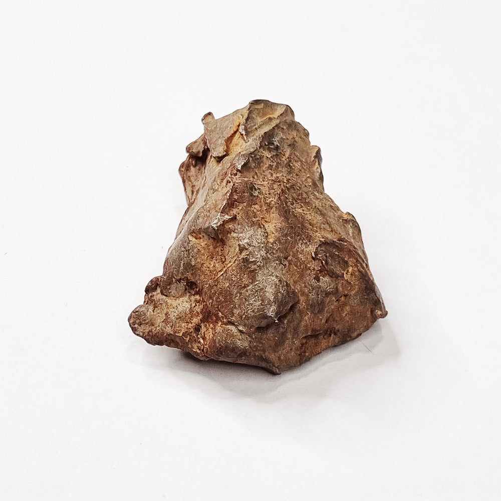 Gebel Kamil Meteorite (Egypt < 5000 Years Old) 39g