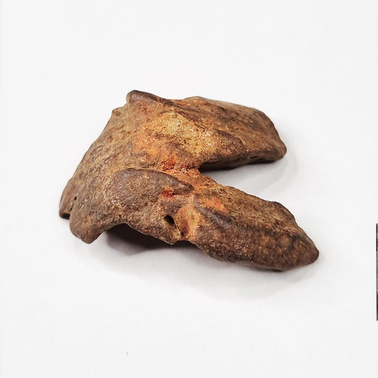 Gebel Kamil Meteorite (Egypt < 5000 Years Old) 26g