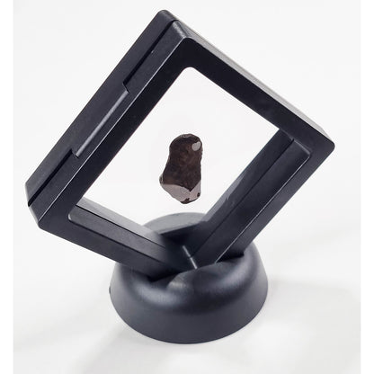 Mundrabilla Meteorite (Western Australia-1911) 11g