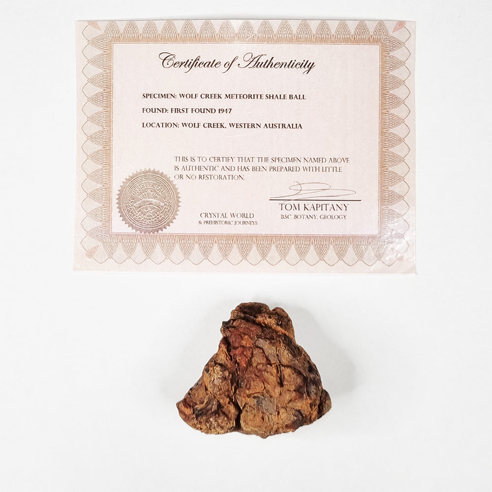 Wolfe Creek Shale Ball Meteorite (Western Australia-1947) 95g