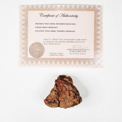 Wolfe Creek Shale Ball Meteorite (Western Australia-1947) 95g