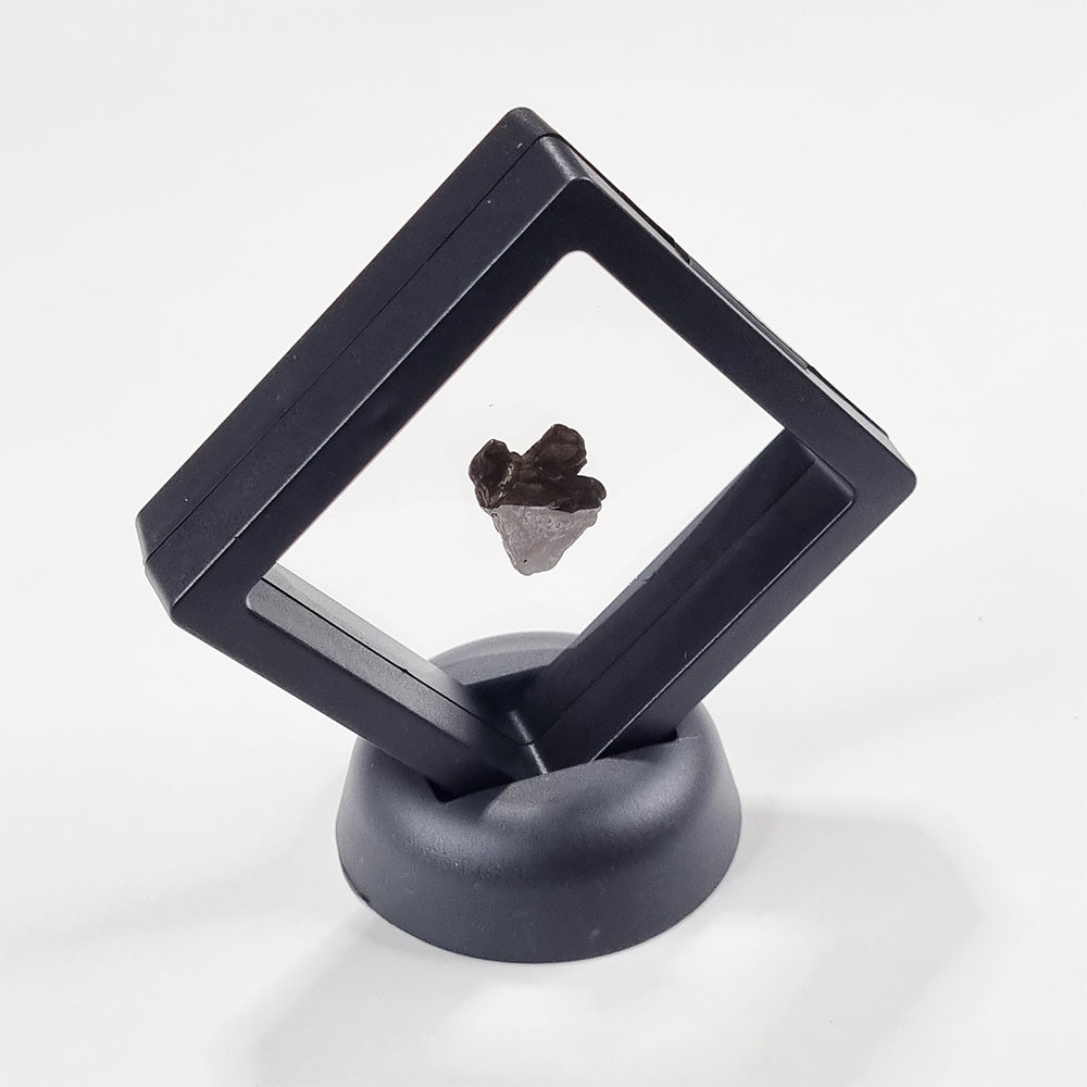 Nantan Meteorite (China- 1516) 6g