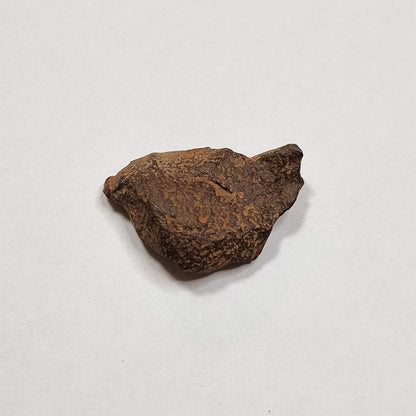 Gebel Kamil Meteorite (Egypt < 5000 Years) 20g