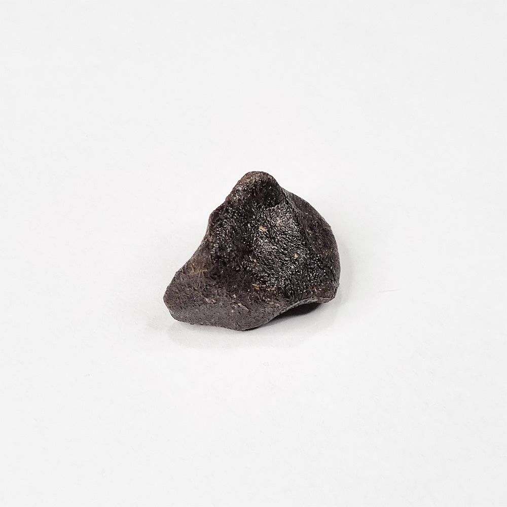 Camel Donga Meteorite (Nullarbor Plain- Western Australia- 1980) 4g