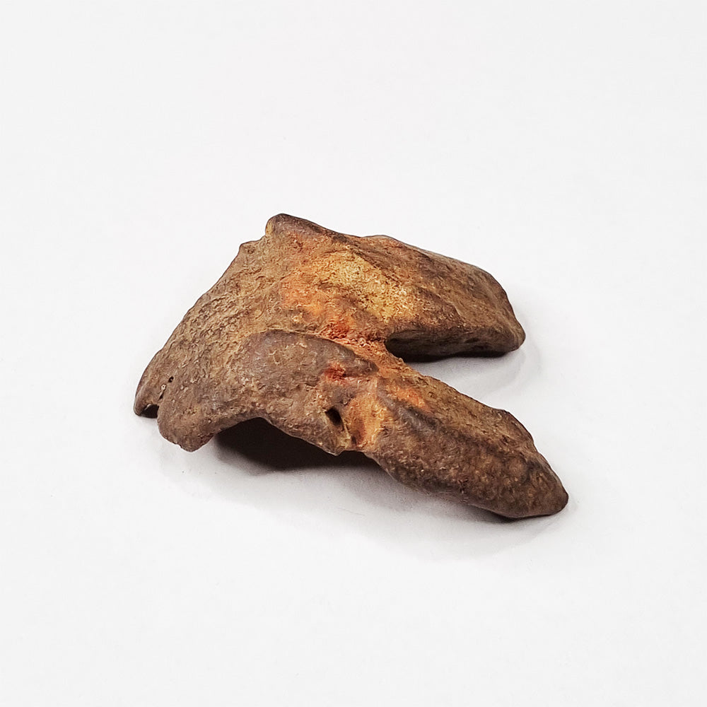 Gebel Kamil Meteorite (Egypt < 5000 Years Old) 26g