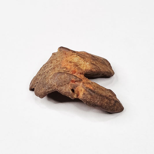 Gebel Kamil Meteorite (Egypt < 5000 Years Old) 26g