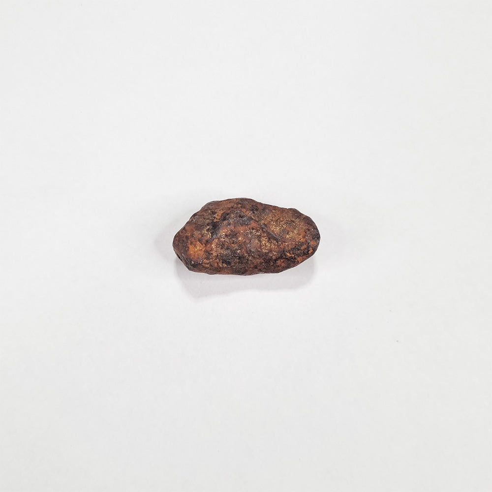 Mundrabilla Meteorite (Western Australia-1911) 11g