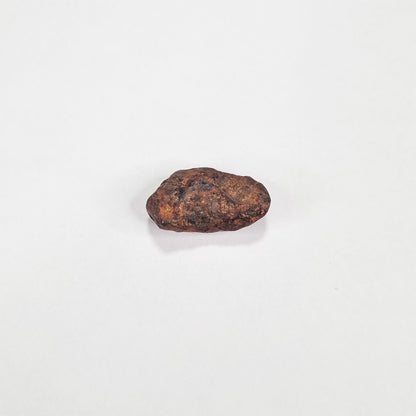 Mundrabilla Meteorite (Western Australia-1911) 11g