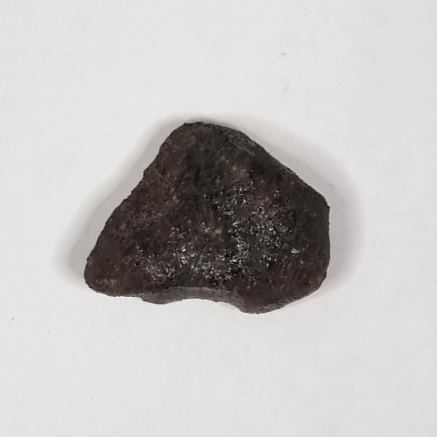 Camel Donga Meteorite (Nullarbor Plain- Western Australia- 1980) 4g