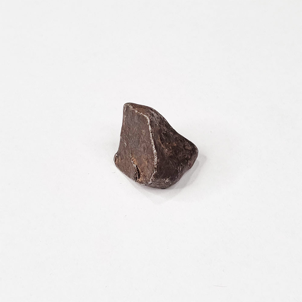 Mundrabilla Meteorite (Western Australia-1911) 9.3g