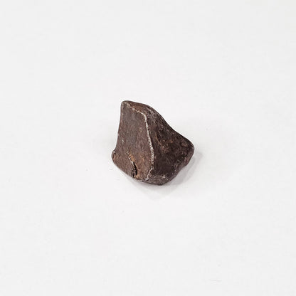 Mundrabilla Meteorite (Western Australia-1911) 9.3g