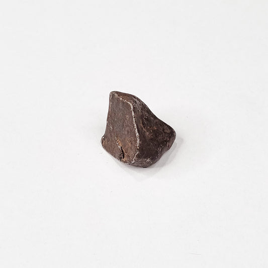 Mundrabilla Meteorite (Western Australia-1911) 9.3g