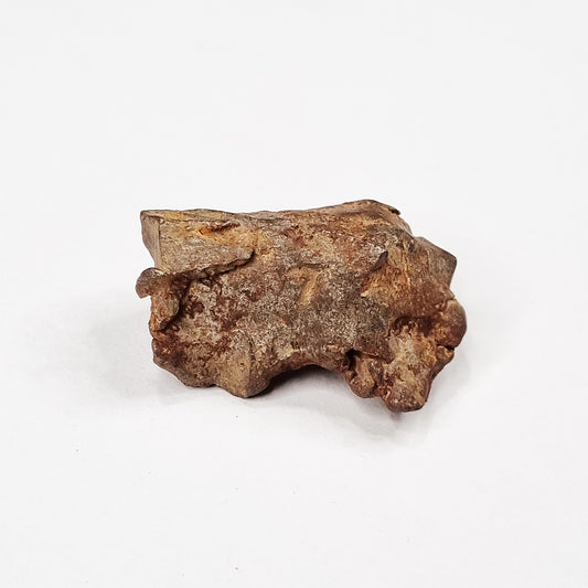 Gebel Kamil Meteorite (Egypt < 5000 Years Old) 39g