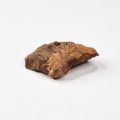Gebel Kamil Meteorite (Egypt < 5000 Years Old) 28.4g