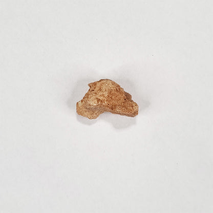 Rare Lunar Meteorite 2g