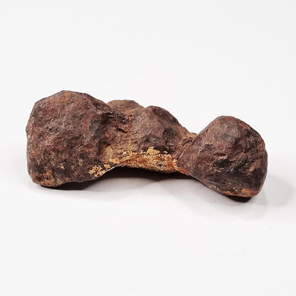 Mundrabilla Meteorite (Western Australia-1911) 82g
