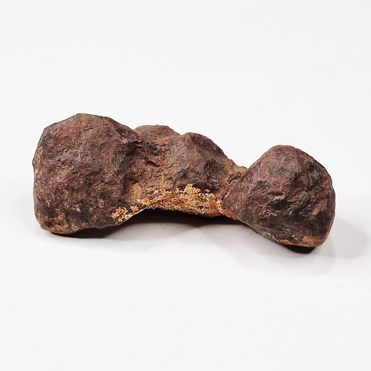 Mundrabilla Meteorite (Western Australia-1911) 82g