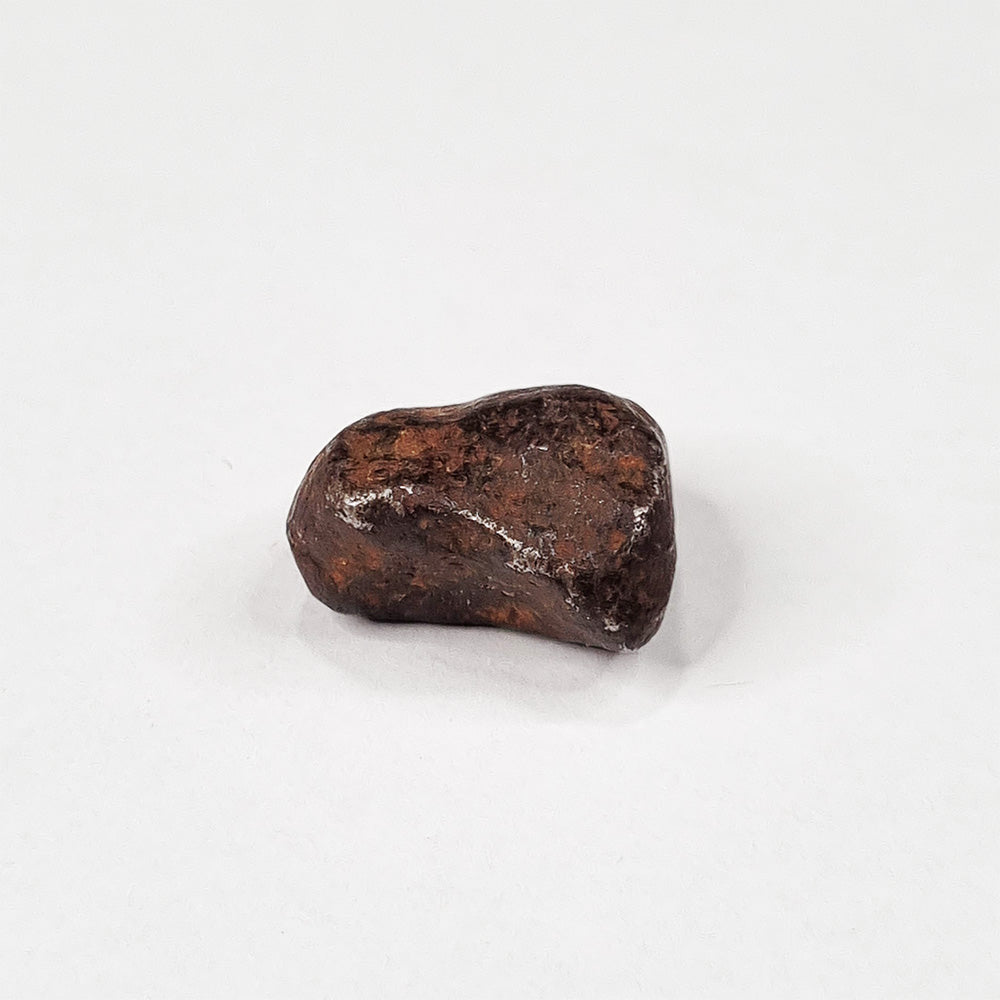 Mundrabilla Meteorite (Western Australia-1911) 14g