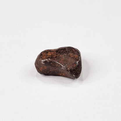Mundrabilla Meteorite (Western Australia-1911) 14g