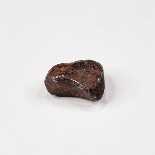 Mundrabilla Meteorite (Western Australia-1911) 14g