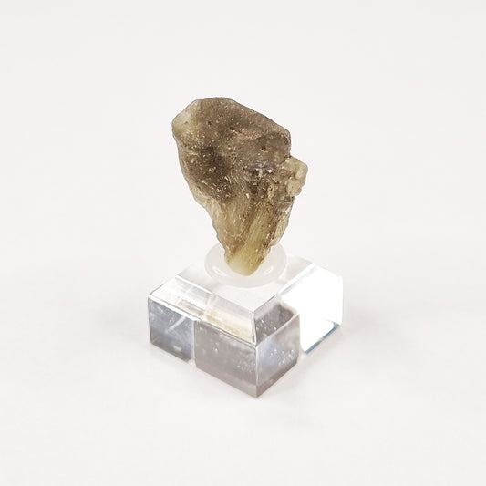 Darwin Glass Meteorite Impact Melt (Tasmania- 816,000 Years Old) 11g
