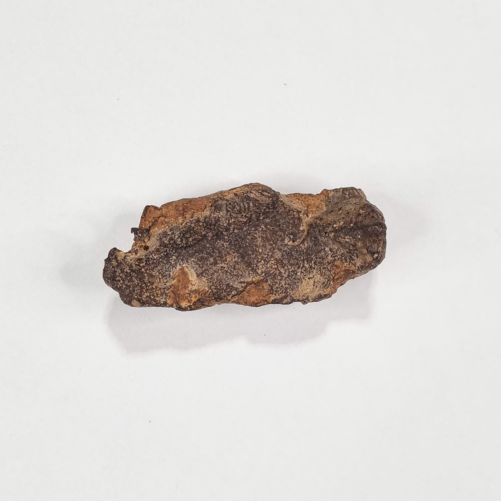 Gebel Kamil Meteorite (Egypt < 5000 Years Old) 61g