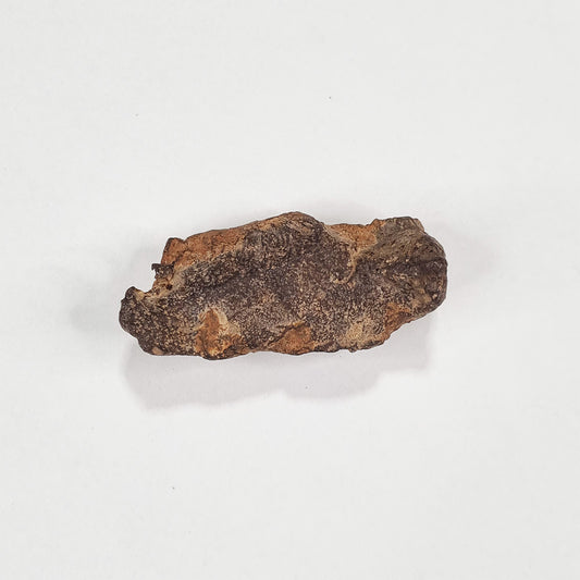 Gebel Kamil Meteorite (Egypt < 5000 Years Old) 61g